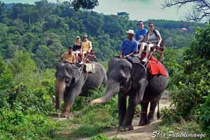 balade en éléphant jungle phuket thailande